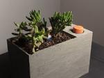 Sprout: Modern Indoor Self Watering Planter