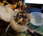Lets Make A Magic Crystal Ball With Magic Spells! ~ Arduino ~