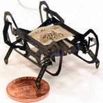 A cockroach-inspired robot