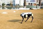 Come meet ZJU’s robot dog “Jueying”