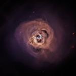 Cosmic x-rays may provide clues to the nature of dark matter