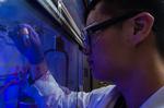 Quantum dots display promise for polymers