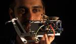 ‘Spectacular’ finding: New 3D vision discovered in praying mantis