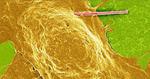 Researchers invent tiny, light-powered wires to modulate brain’s electrical signals