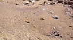 Long-Lived Mars Rover Opportunity Keeps Finding Surprises