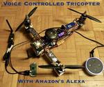 Voice Controlled 3D Printed Tricopter
