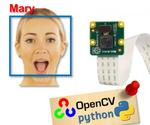 Real-Time Face Recognition: An End-To-End Project