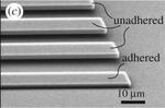 New approach to measuring stickiness could aid micro-device design