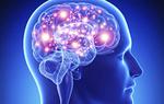 Understanding the smallest brain circuits