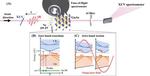 A milestone in petahertz electronics