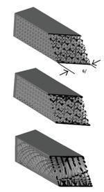 Nature inspires light, robust lattice structures