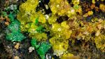 Researchers uncover most complex mineral on Earth