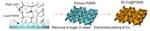 Sweet relief for lithium batteries’ dendrite problem