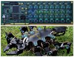Tokyo Tech’s six-legged robots get closer to nature