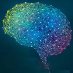New algorithm will allow for simulating neural connections of entire brain on future exascale supercomputers