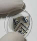 Plasmons triggered in nanotube quantum wells