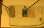 Atomically thin light emitting device opens the possibility for ‘invisible’ displays