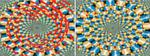 Illusory Motion Reproduced by Deep Neural Networks Trained for Prediction