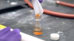 New glass-like polymer could conduct electricity for transparent electronics