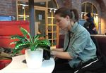 Alone Together - Plant Lamps