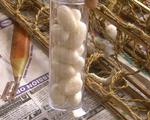 Graphene eating silkworms can spin for wearable electronics