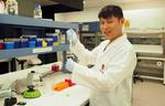 Advanced sensor to unlock the secrets of the brain