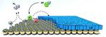 Battery’s hidden layer revealed