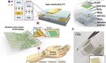 MoS2 transistor that can be used with bendable OLED displays