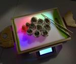 Neopixel Light Up Sushi Serving Board