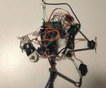 Self-learning Chaotic Robot