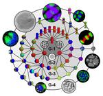 A designer’s toolkit for constructing complex nanoparticles