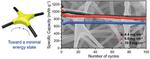Capillary Forces at Work for Lithium-Sulfur Batteries