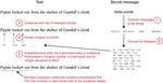 Researchers Hide Information in Plain Text