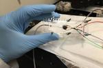 UCLA engineer develops 3D printer that can create complex biological tissues