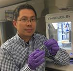UTA researchers develop highly elastic biodegradable hydrogel for bio-printing of new tissues