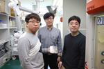 A High-Performance and Cost Effective Hydrogen Sensor