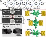 Beyond the limits of conventional electronics: stable organic molecular nanowires