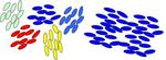 Research reveals how order first appears in liquid crystals