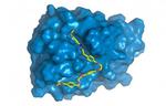 Research enhances enzyme that degrades plastic