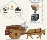 Wood to Supercapacitors