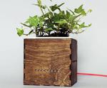 Coughing Planter