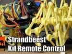 Remote Controlled Strandbeest