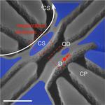 A Bit of Quantum Logic-What Did the Atom Say to the Quantum Dot?