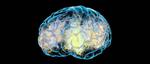 Case Western Reserve University School of Medicine researchers create first artificial human prion