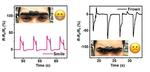 Electronic skin stretched to new limits