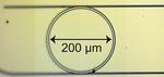 Multiple lasers could be replaced by a single microcomb