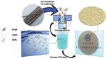 Researchers Fabricate New Type of Cellulose Nanopaper