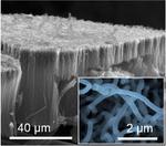 As Future Batteries, Hybrid Supercapacitors Are Super-Charged