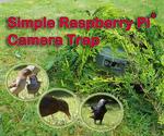 Simple Raspberry Pi Camera Trap Made From a Food Container