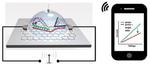 Biosensor Chip Detects Single Nucleotide Polymorphism Wirelessly and With Higher Sensitivity